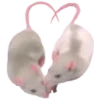 🐀
