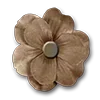 🌼