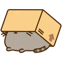 📦
