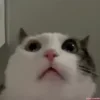 🤯