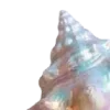 🌊