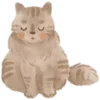 🐈