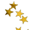 🌟