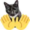 🤚