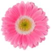 💐