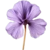 💜