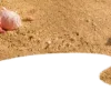 🥥