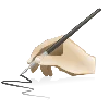 ✍
