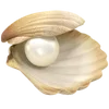 🐚