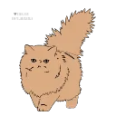 🐱