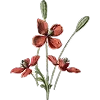 🌷