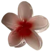 🌸