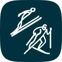 🎿
