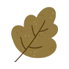 🍂