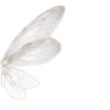 🦋