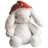 🐰