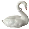 🦢