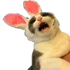 😱