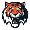 🐯
