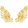 🕊️