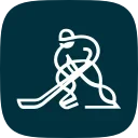 🏒