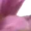 ⭐