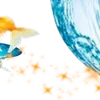 🌟