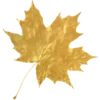 🍁