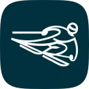 🎿