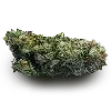 🌿