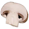 🍄‍🟫
