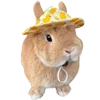 🐰