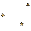 🌟