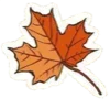 🍁