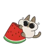 🍉