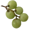 🧚
