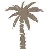 🌴