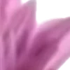⭐