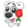 🌹