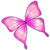 🦋