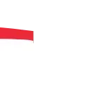 🇸🇬