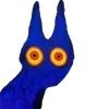 👀