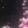 ⭐