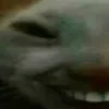 😁