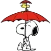 🌧
