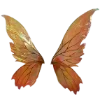 🦋