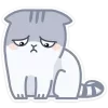 😞