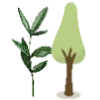 🌳