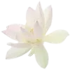 🌸