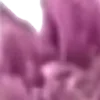 ⭐